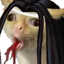 catcoughblood