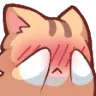 Cat Shy cat_shy Discord Emoji