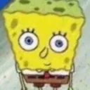 z_sponge_stare