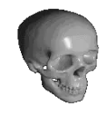 spinningskull