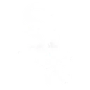 bb_logosox Discord Emoji