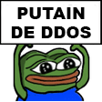putain_de_ddos