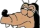 sus