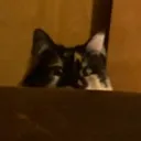ohhello