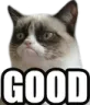Good_T