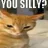 You_Silly You_Silly