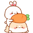 mBunnyAbooz