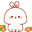 mBunnyDrop