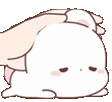 mBunnyPat