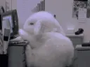 Sleepy
