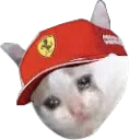 CryTifosi