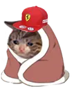 SadComfeeRAGAZZI