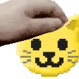 PETTHECAT