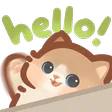 cat4_hello