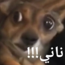 NHM_naniiiii Discord emoji