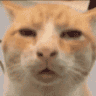uhhh Discord emoji