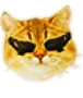 Cat Discord Emoji