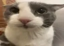 hm