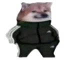 doge_rizz doge_rizz