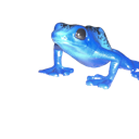 frog1 Discord emoji