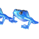 frog2 Discord emoji