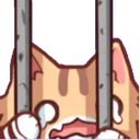 MB_kitty_bad