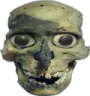 goofySkull