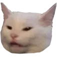 Memecat memecat Discord Emoji