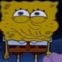 spongedumbass