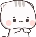 cc_shy