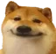 bruhdoge Discord Emoji