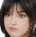 Danipout