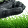 pet_grass