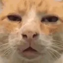 RevCat