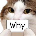 catWhy