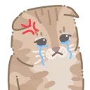 frustratedcat Discord Emoji