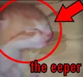 EEPER