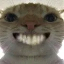 D_ D_