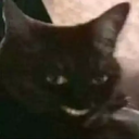 catsorrindo Discord emoji