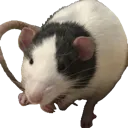 emoji_43