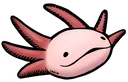 axolotl