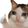 sadthumbsup