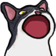 TuxedoPopCat