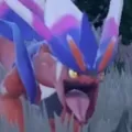 vomits