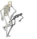 skulldance