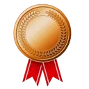 BronzeLevel