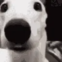 scared