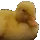 duckshake