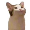 cat Discord Emoji