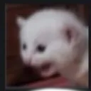 Screm screm Discord Emoji